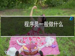 程序员一般做什么