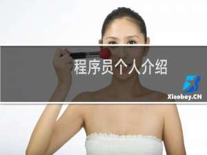 程序员个人介绍