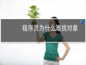 程序员为什么难找对象