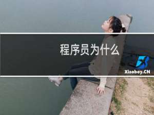 程序员为什么