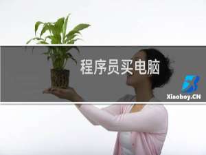 程序员买电脑