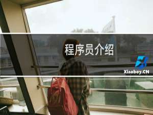 程序员介绍