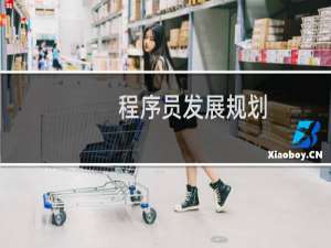 程序员发展规划