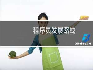程序员发展路线