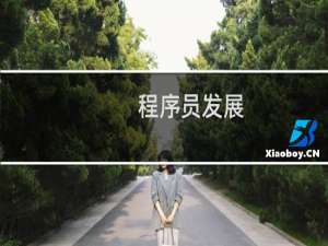 程序员发展