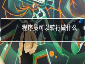 程序员可以转行做什么