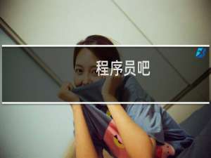 程序员吧