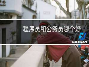 程序员和公务员哪个好