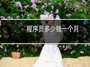 程序员多少钱一个月