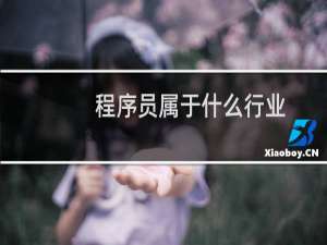 程序员属于什么行业