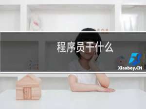程序员干什么