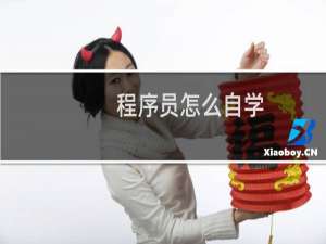 程序员怎么自学