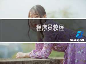 程序员教程
