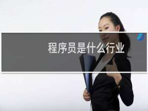 程序员是什么行业