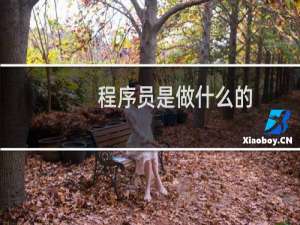程序员是做什么的