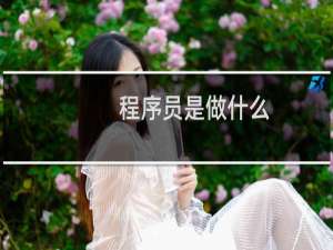 程序员是做什么