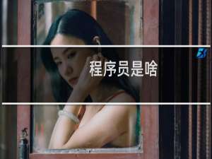 程序员是啥