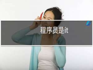 程序员是it