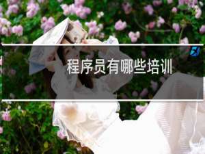 程序员有哪些培训