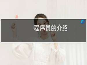 程序员的介绍