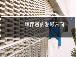 程序员的发展方向
