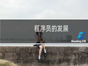 程序员的发展