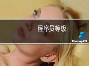 程序员等级