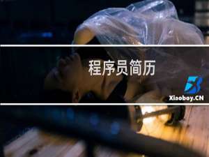 程序员简历 项目经验