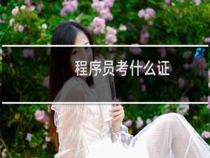 程序员考什么证