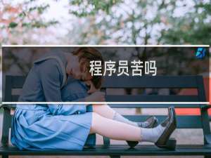 程序员苦吗