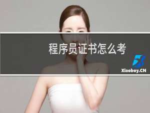 程序员证书怎么考