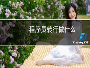 程序员转行做什么