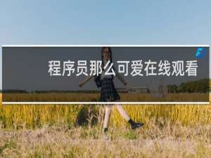 程序员那么可爱在线观看