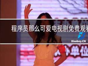 程序员那么可爱电视剧免费观看
