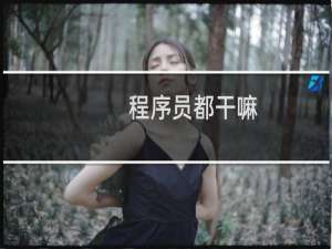 程序员都干嘛