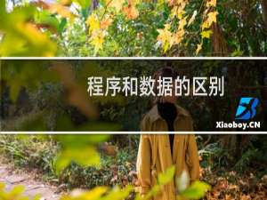 程序和数据的区别