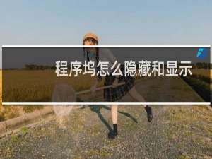 程序坞怎么隐藏和显示