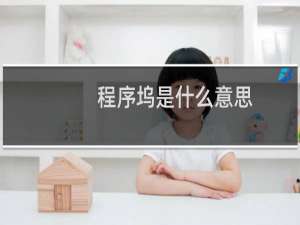 程序坞是什么意思