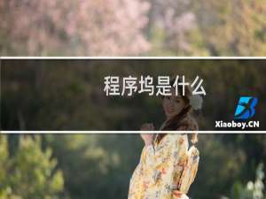 程序坞是什么