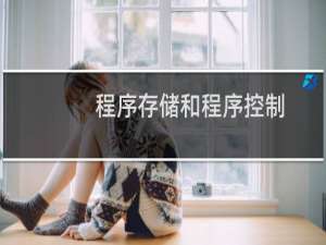 程序存储和程序控制