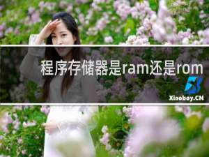程序存储器是ram还是rom