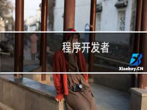 程序开发者