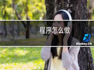 程序怎么做