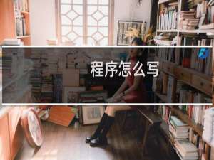 程序怎么写