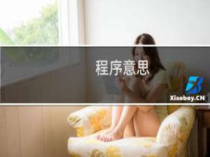 程序意思