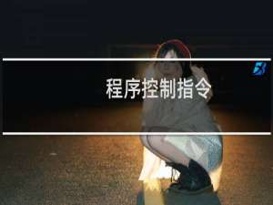 程序控制指令