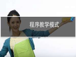 程序教学模式