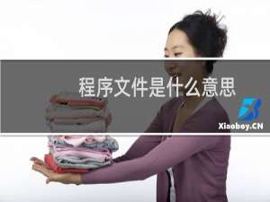 程序文件是什么意思