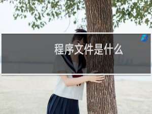 程序文件是什么