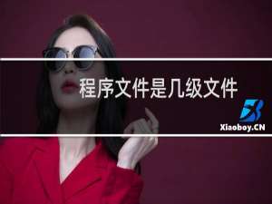 程序文件是几级文件